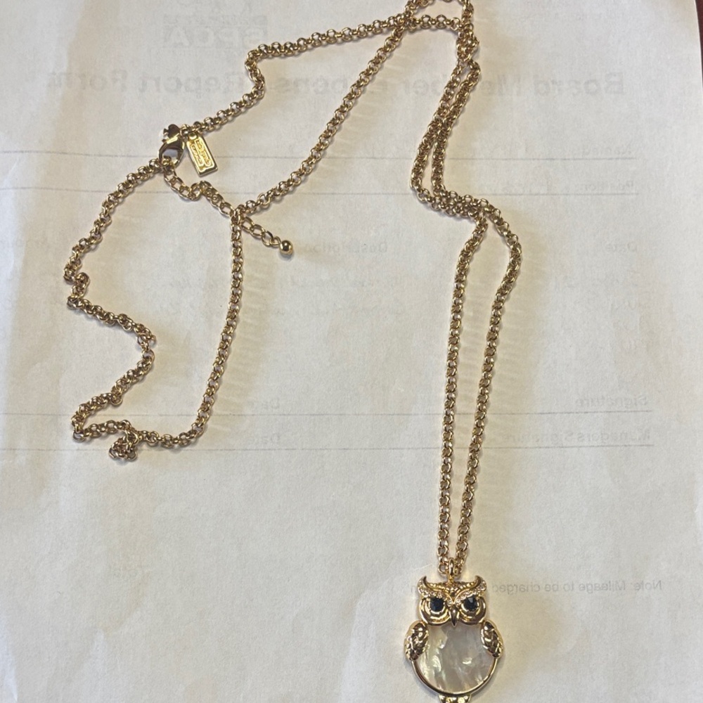 Kate Spade Gold Owl Necklace